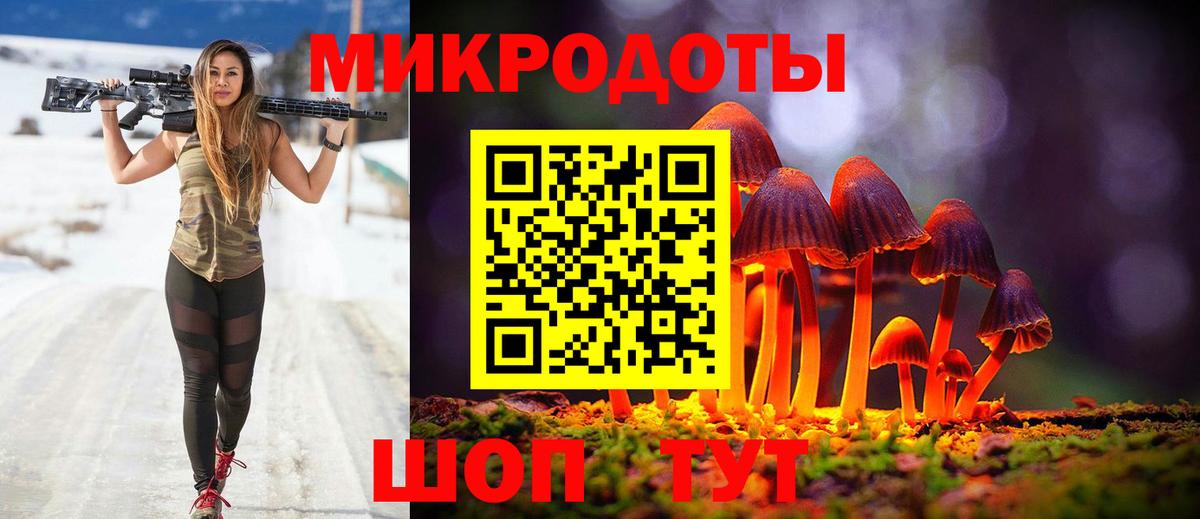 Псилоцибиновые грибы Psilocybe Гатчина
